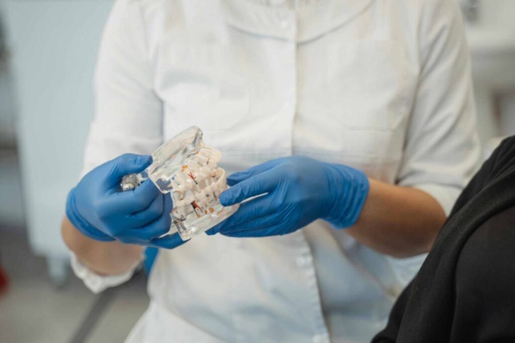 Dental professional demonstrating a dental model, highlighting oral health education in a clinical setting.