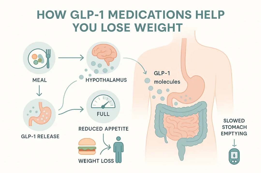 Infographic illustrating how GLP-1 medications aid weight loss, featuring meal intake, hypothalamus activation, GLP-1 molecule release, appetite reduction, and slowed stomach emptying.