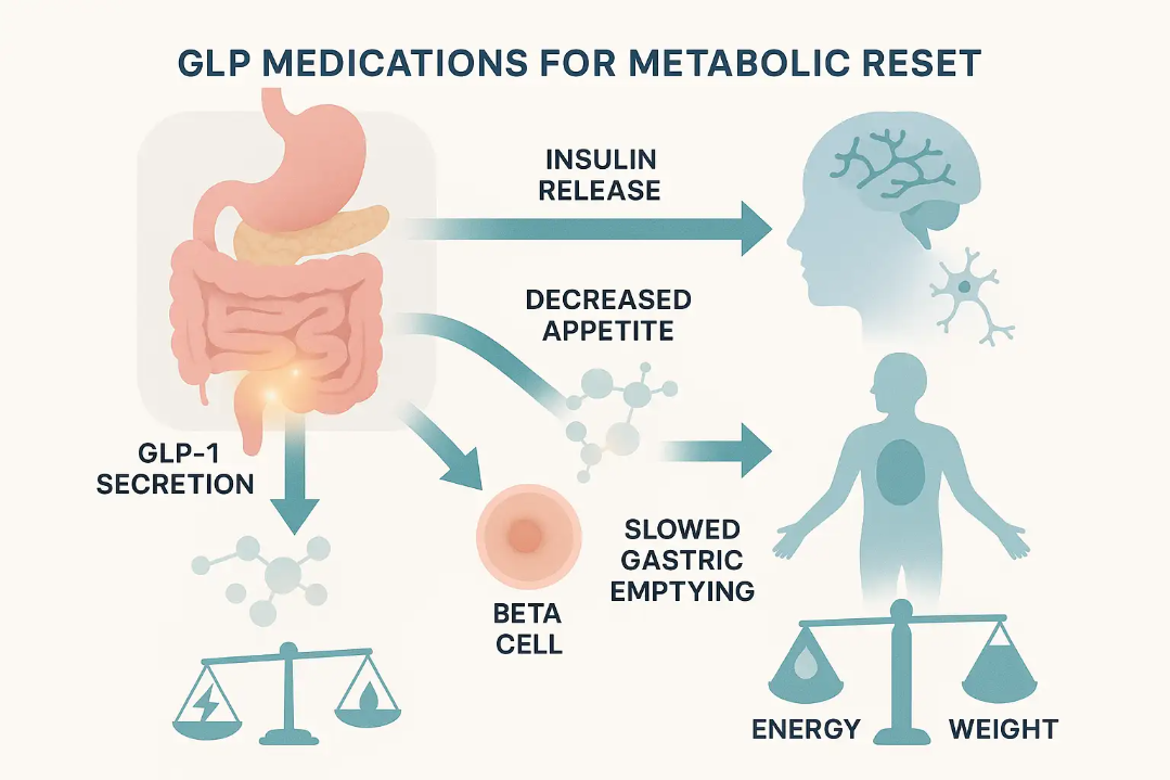 GLP-1 medications supporting metabolic reset, illustrating insulin release, decreased appetite, slowed gastric emptying, and balance between energy and weight.