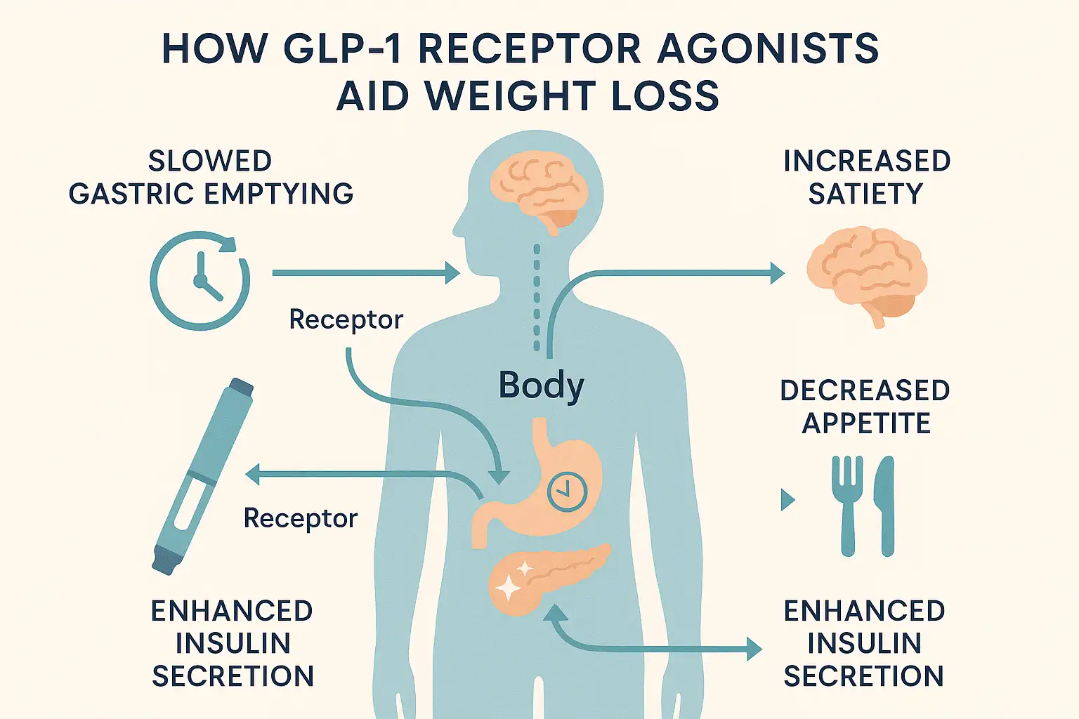 Educational infographic showing how GLP-1 receptor agonists aid weight loss with arrows illustrating pathways from injection pen to pancreas and brain, highlighting slowed gastric emptying, increased satiety, decreased appetite, and enhanced insulin secretion on human silhouette in clear, modern vector style